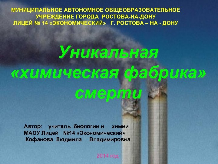 МУНИЦИПАЛЬНОЕ АВТОНОМНОЕ ОБЩЕОБРАЗОВАТЕЛЬНОЕ УЧРЕЖДЕНИЕ ГОРОДА РОСТОВА-НА-ДОНУ ЛИЦЕЙ № 14 «ЭКОНОМИЧЕСКИЙ» Г. РОСТОВА – НА