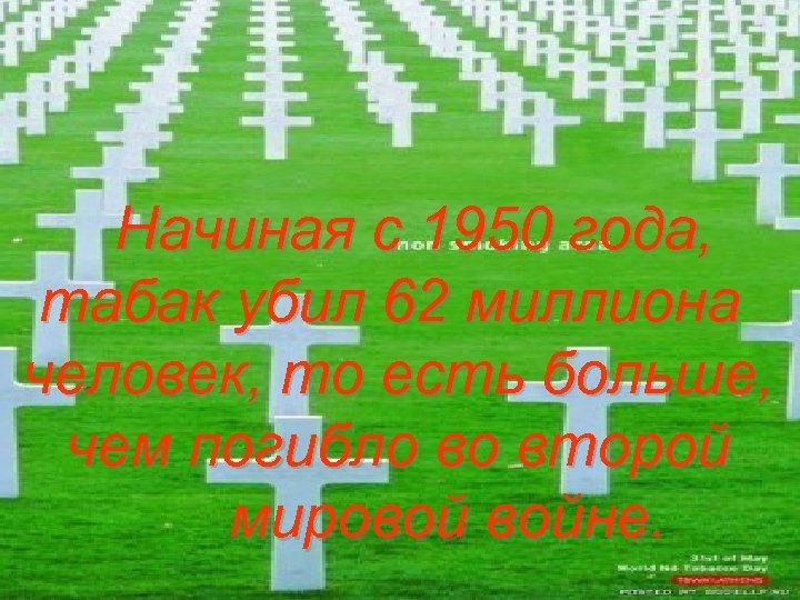 Начиная с 1950 года, табак убил 62 миллиона человек, то есть больше, чем погибло