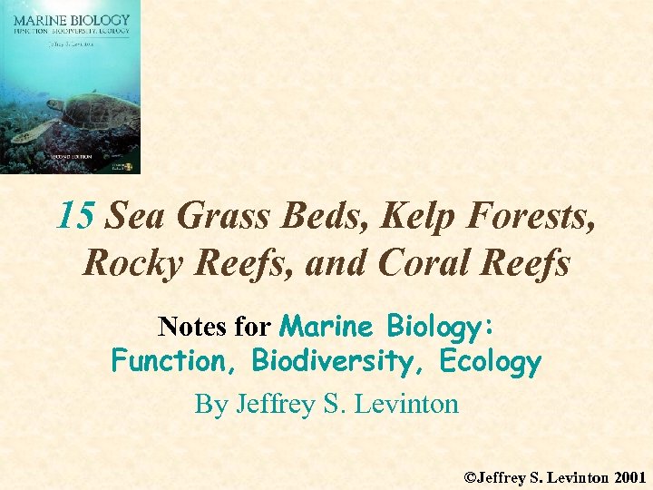 15 Sea Grass Beds Kelp Forests Rocky Reefs