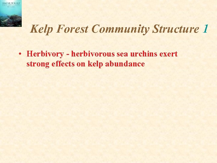 Kelp Forest Community Structure 1 • Herbivory - herbivorous sea urchins exert strong effects