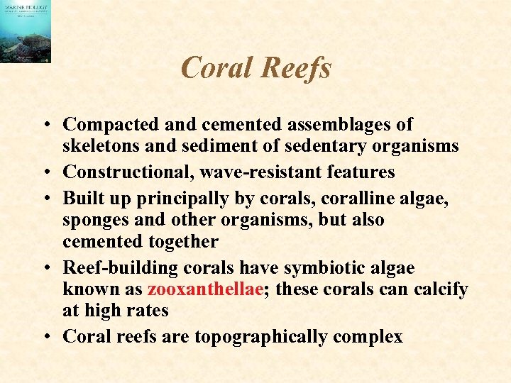 Coral Reefs • Compacted and cemented assemblages of skeletons and sediment of sedentary organisms