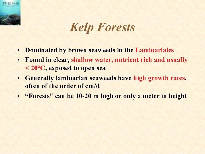 Kelp Forests • Dominated by brown seaweeds in the Laminariales • Found in clear,