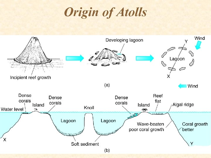 Origin of Atolls 