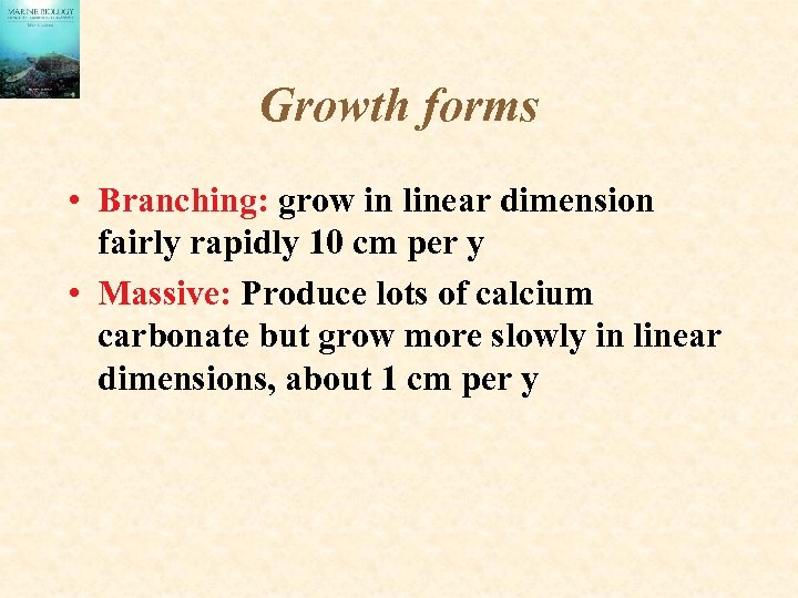 Growth forms • Branching: grow in linear dimension fairly rapidly 10 cm per y