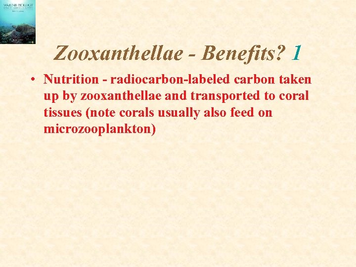 Zooxanthellae - Benefits? 1 • Nutrition - radiocarbon-labeled carbon taken up by zooxanthellae and