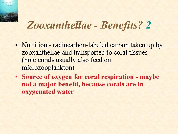 Zooxanthellae - Benefits? 2 • Nutrition - radiocarbon-labeled carbon taken up by zooxanthellae and