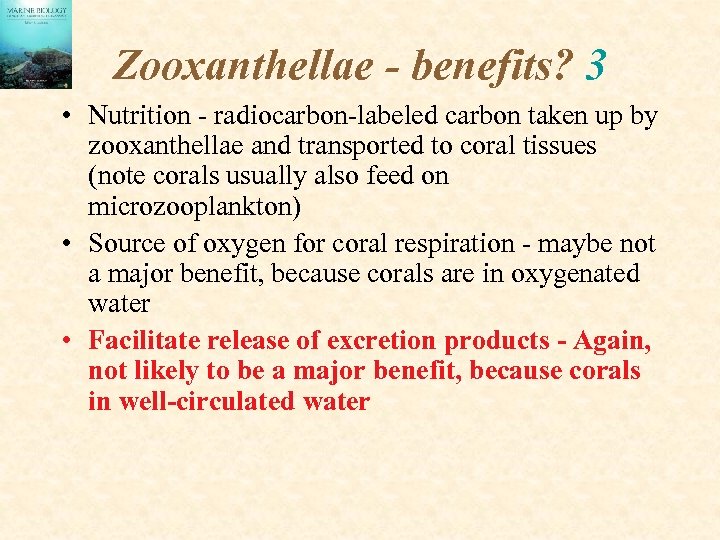 Zooxanthellae - benefits? 3 • Nutrition - radiocarbon-labeled carbon taken up by zooxanthellae and
