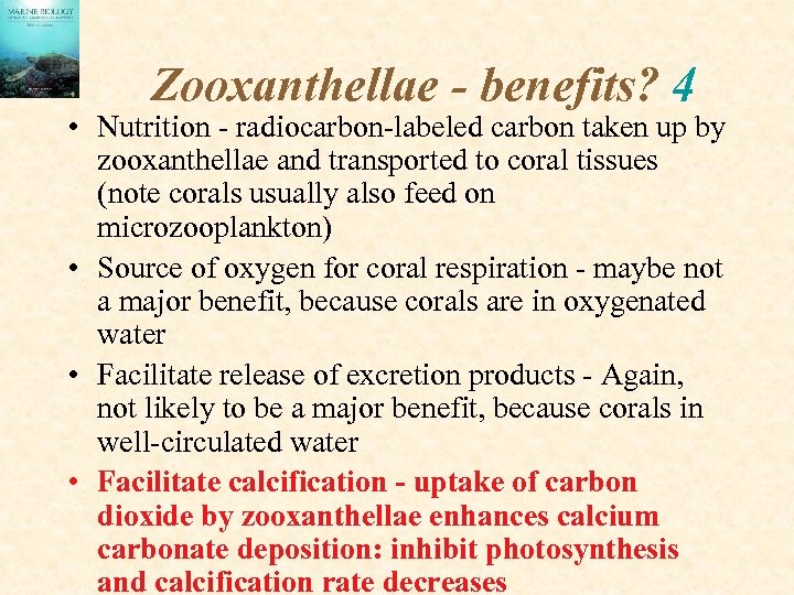Zooxanthellae - benefits? 4 • Nutrition - radiocarbon-labeled carbon taken up by zooxanthellae and