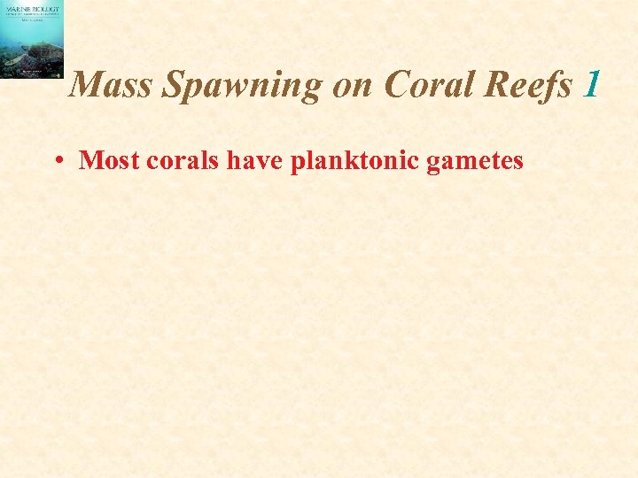 Mass Spawning on Coral Reefs 1 • Most corals have planktonic gametes 