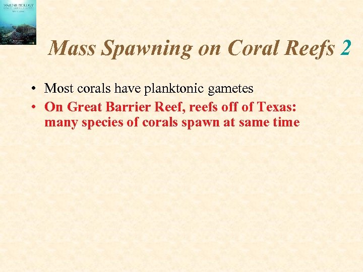 Mass Spawning on Coral Reefs 2 • Most corals have planktonic gametes • On