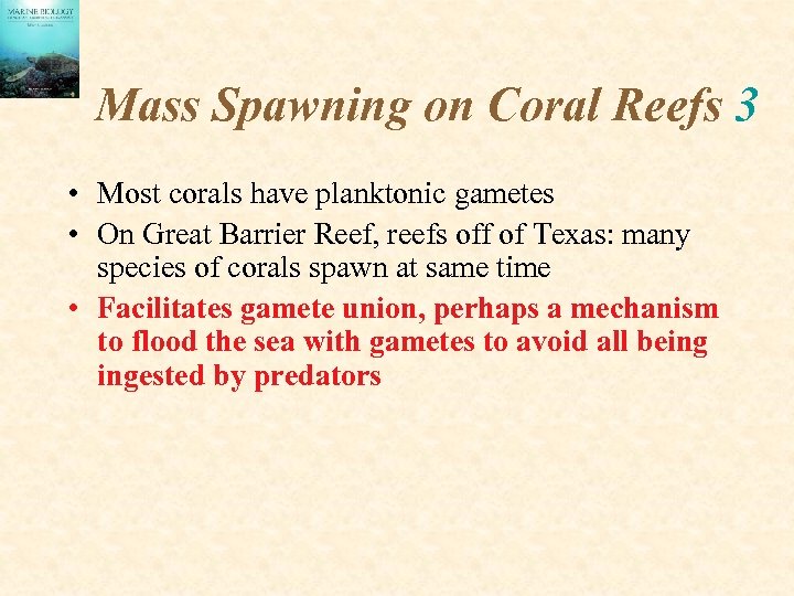 Mass Spawning on Coral Reefs 3 • Most corals have planktonic gametes • On