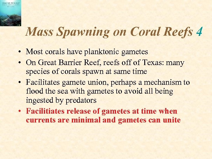 Mass Spawning on Coral Reefs 4 • Most corals have planktonic gametes • On
