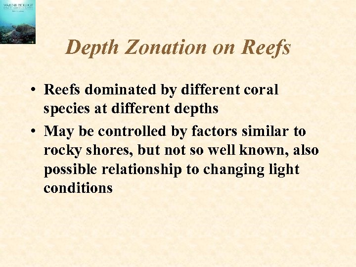 Depth Zonation on Reefs • Reefs dominated by different coral species at different depths