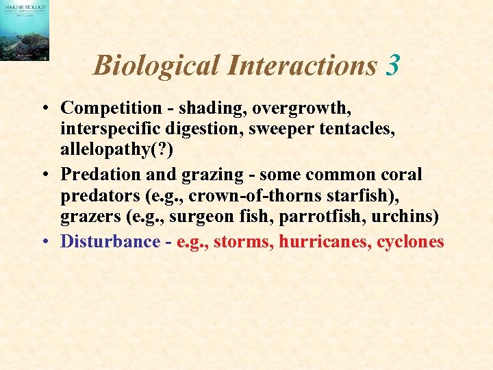 Biological Interactions 3 • Competition - shading, overgrowth, interspecific digestion, sweeper tentacles, allelopathy(? )