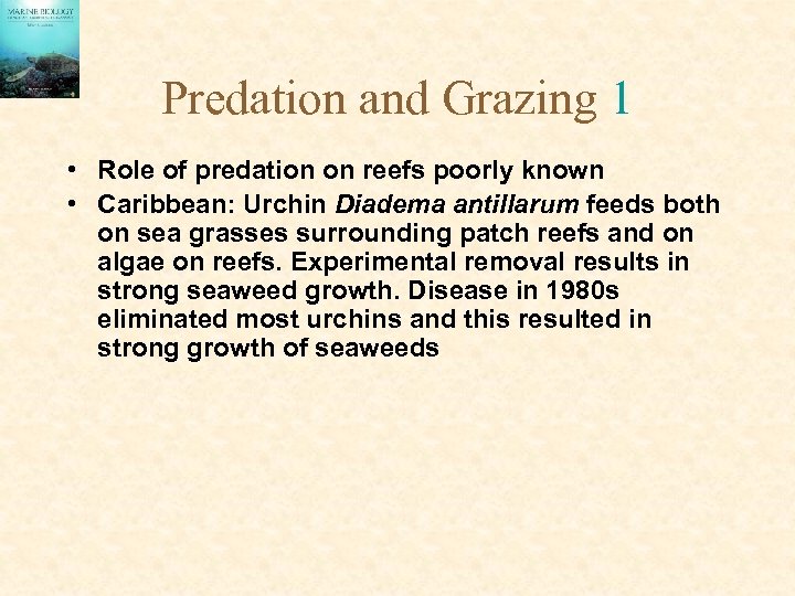 Predation and Grazing 1 • Role of predation on reefs poorly known • Caribbean: