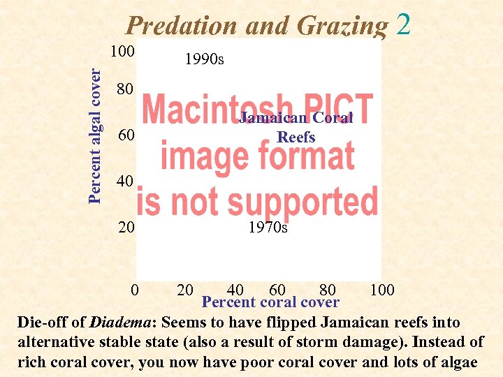 Predation and Grazing 2 Percent algal cover 100 1990 s 80 Jamaican Coral Reefs