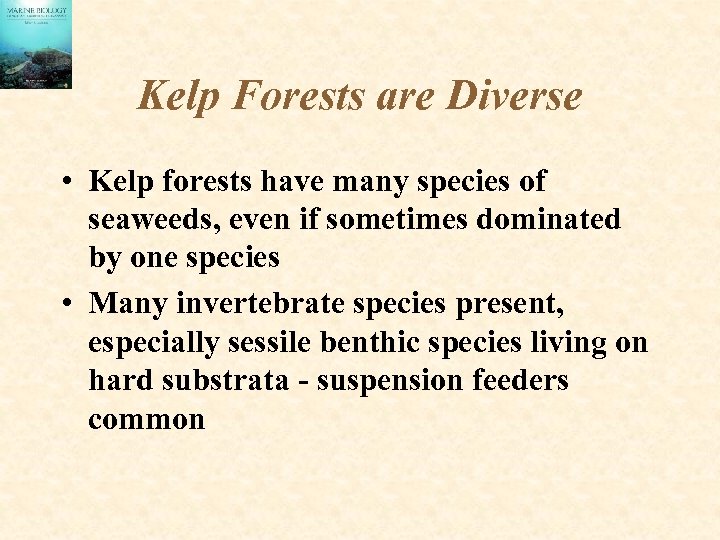 Kelp Forests are Diverse • Kelp forests have many species of seaweeds, even if