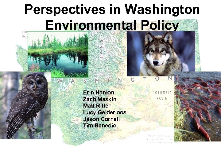 Perspectives in Washington Environmental Policy Erin Hanlon Zach Maskin Matt Ritter Lucy Gelderloos Jason