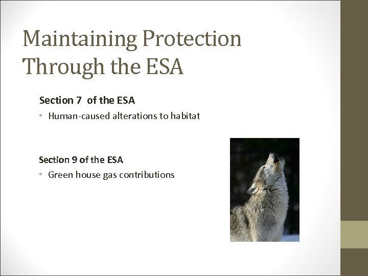 Maintaining Protection Through the ESA Section 7 of the ESA • Human-caused alterations to