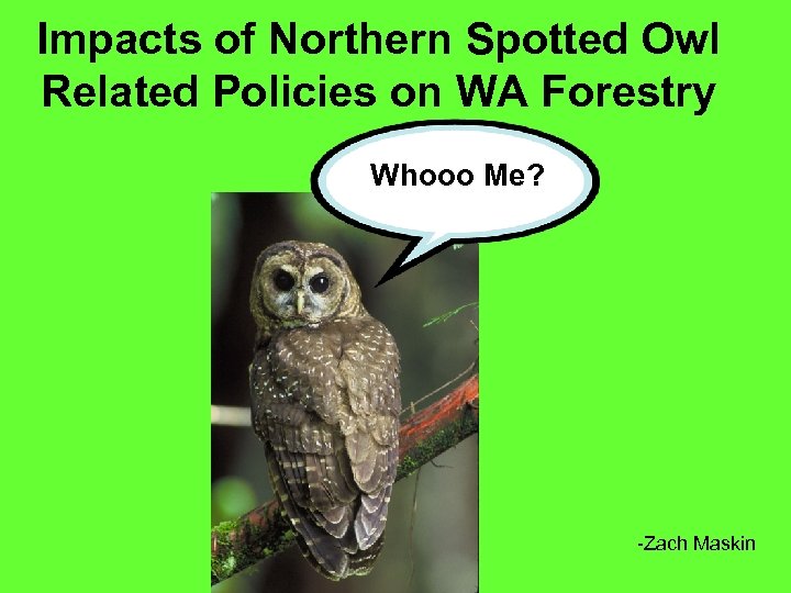 Impacts of Northern Spotted Owl Related Policies on WA Forestry Whooo Me? -Zach Maskin