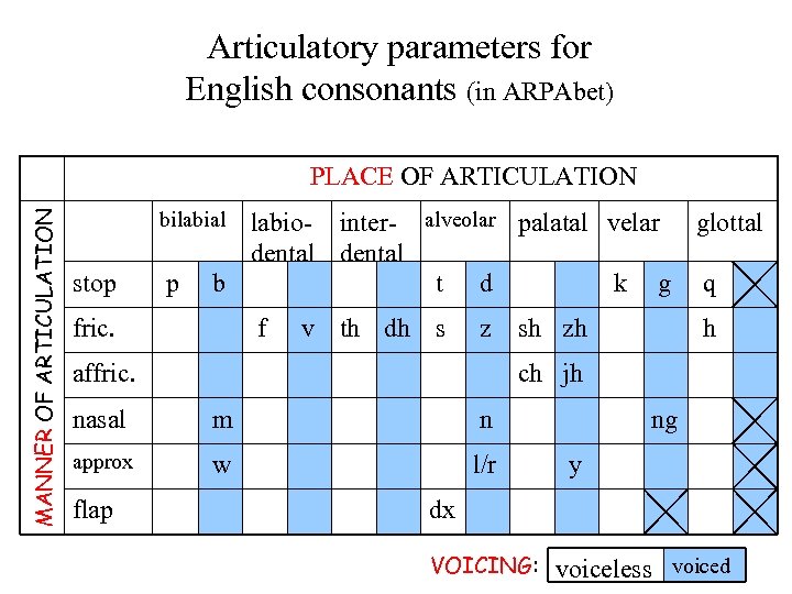 Articulatory parameters for English consonants (in ARPAbet) MANNER OF ARTICULATION PLACE OF ARTICULATION bilabial