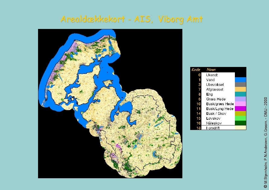 © M. Stjernholm, P. N. Andersen, G. Groom, - DMU - 2000 Arealdækkekort -
