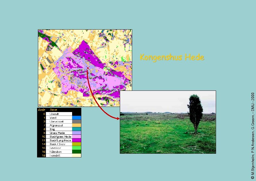 © M. Stjernholm, P. N. Andersen, G. Groom, - DMU - 2000 Kongenshus Hede