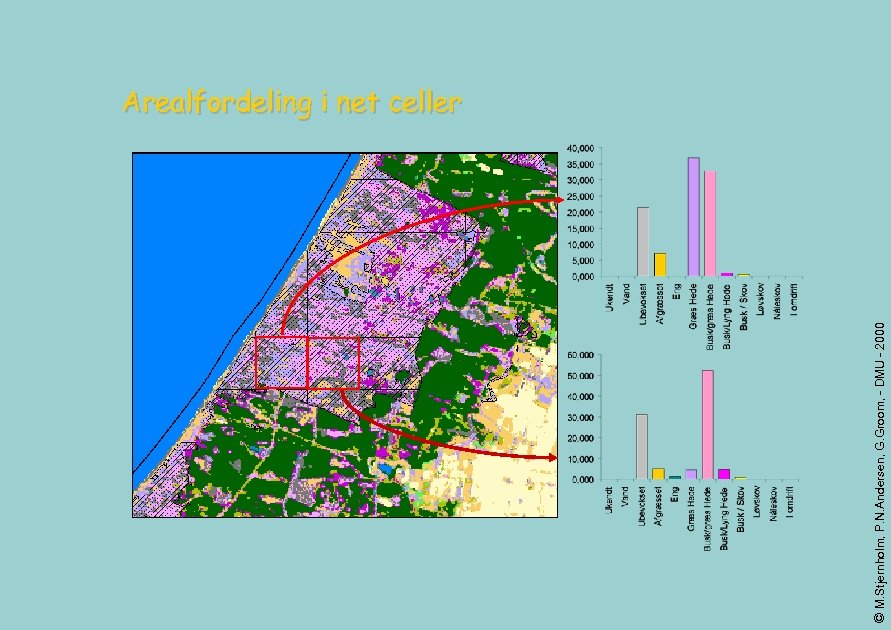 © M. Stjernholm, P. N. Andersen, G. Groom, - DMU - 2000 Arealfordeling i