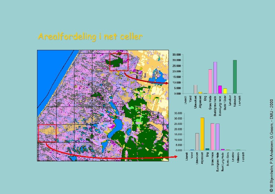 © M. Stjernholm, P. N. Andersen, G. Groom, - DMU - 2000 Arealfordeling i