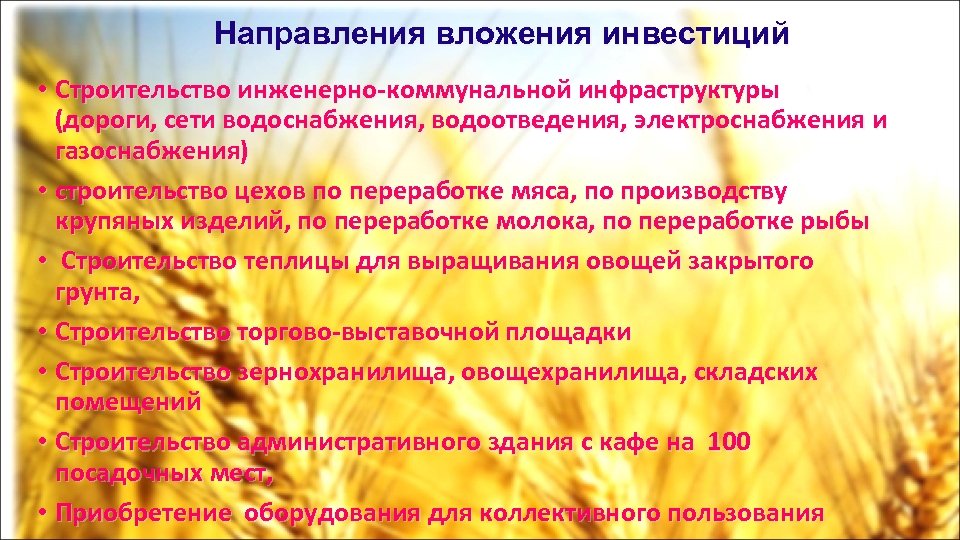 Направления вложения инвестиций • Строительство инженерно-коммунальной инфраструктуры (дороги, сети водоснабжения, водоотведения, электроснабжения и газоснабжения)