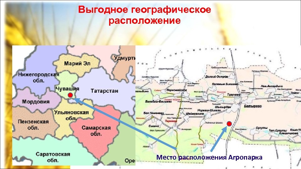 Выгодное географическое расположение Место расположения Агропарка 