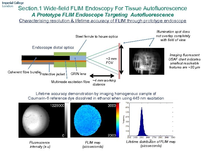 Section. 1 Wide-field FLIM Endoscopy For Tissue Autofluorescence A Prototype FLIM Endoscope Targeting Autofluorescence