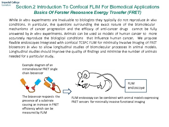 Section. 2 Introduction To Confocal FLIM For Biomedical Applications Basics Of Forster Resonance Energy