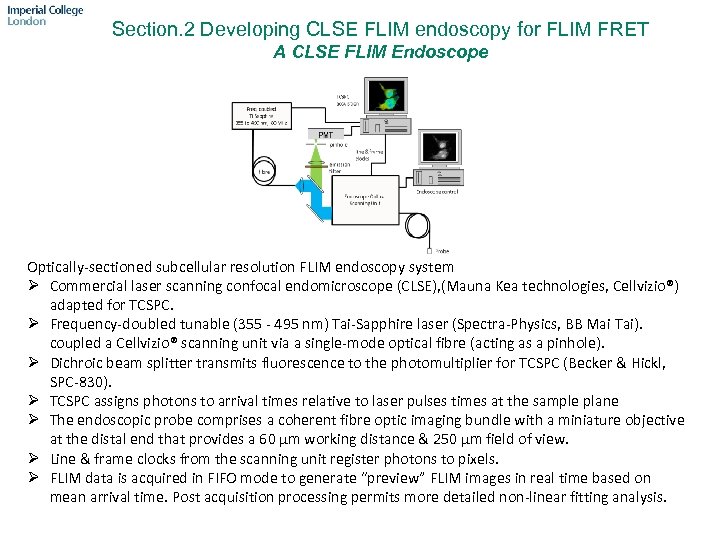 Section. 2 Developing CLSE FLIM endoscopy for FLIM FRET A CLSE FLIM Endoscope Optically-sectioned