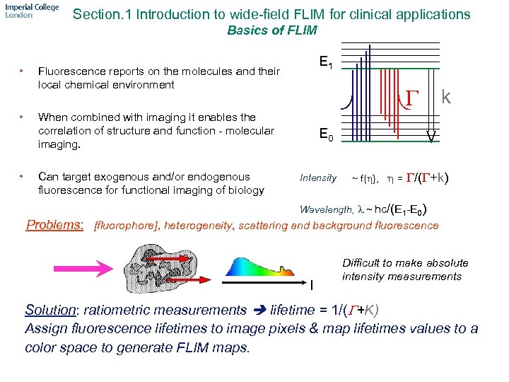 Section. 1 Introduction to wide-field FLIM for clinical applications Basics of FLIM • •