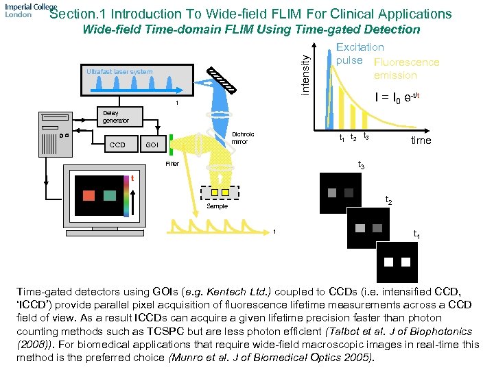 Section. 1 Introduction To Wide-field FLIM For Clinical Applications intensity Wide-field Time-domain FLIM Using