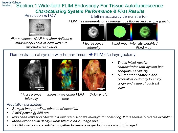 Section. 1 Wide-field FLIM Endoscopy For Tissue Autofluorescence Characterising System Performance & First Results