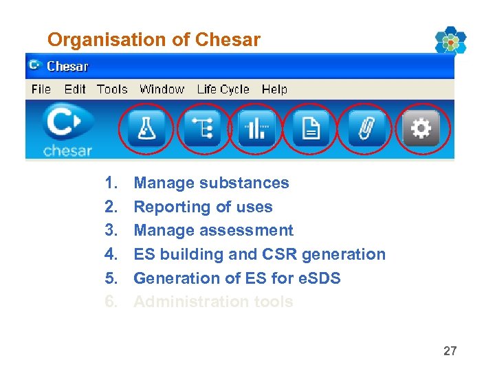 Organisation of Chesar 1. 2. 3. 4. 5. 6. Manage substances Reporting of uses