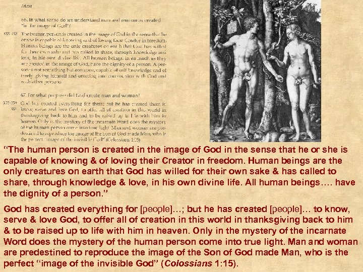 “The human person is created in the image of God in the sense that