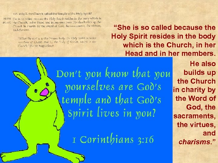 “She is so called because the Holy Spirit resides in the body which is