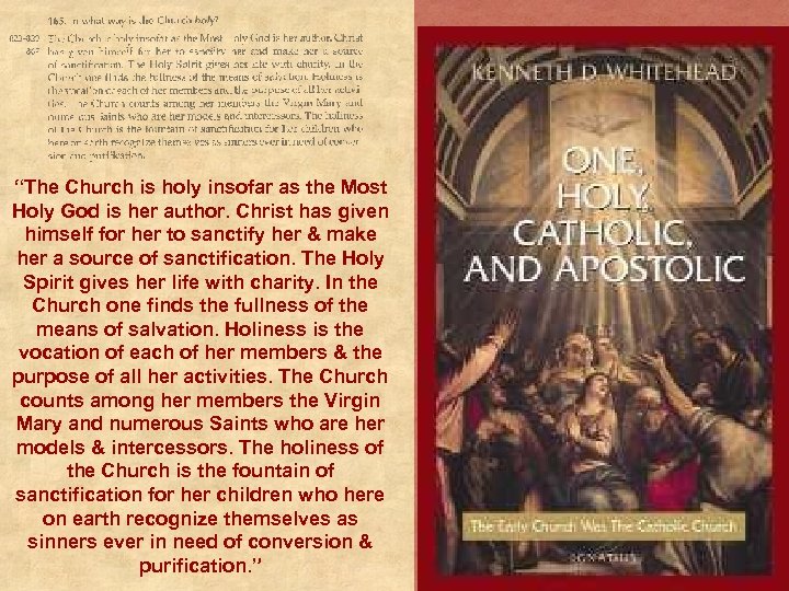 “The Church is holy insofar as the Most Holy God is her author. Christ