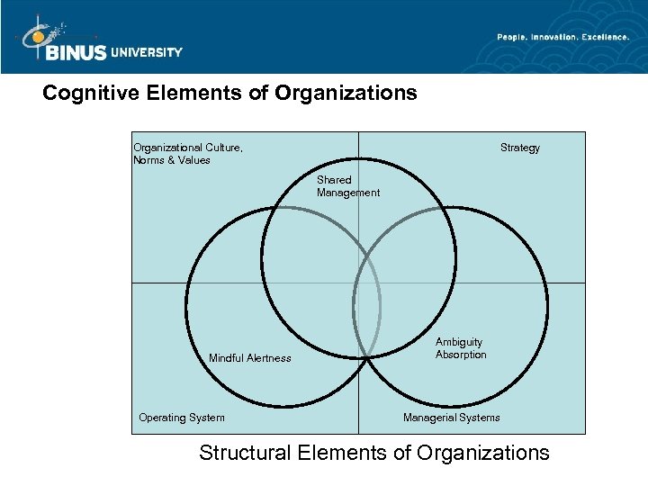 Cognitive Elements of Organizations Organizational Culture, Norms & Values Strategy Shared Management Mindful Alertness