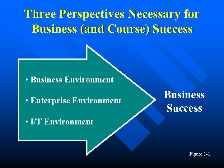 Three Perspectives Necessary for Business (and Course) Success • Business Environment • Enterprise Environment