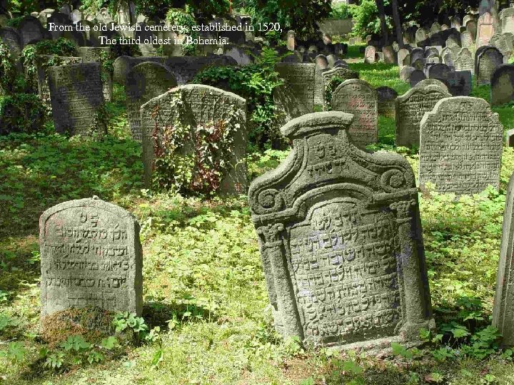 From the old Jewish cemetery, established in 1520, The third oldest in Bohemia. 