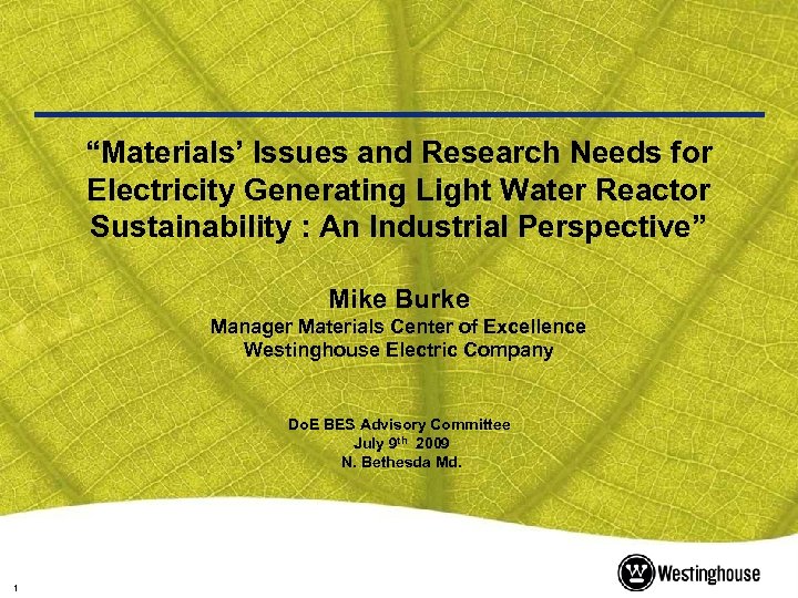 “Materials’ Issues and Research Needs for Electricity Generating Light Water Reactor Sustainability : An