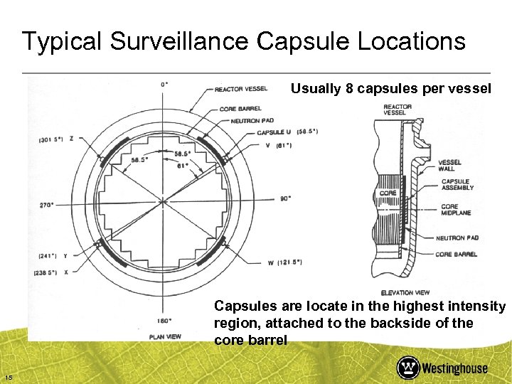 Typical Surveillance Capsule Locations Usually 8 capsules per vessel Capsules are locate in the