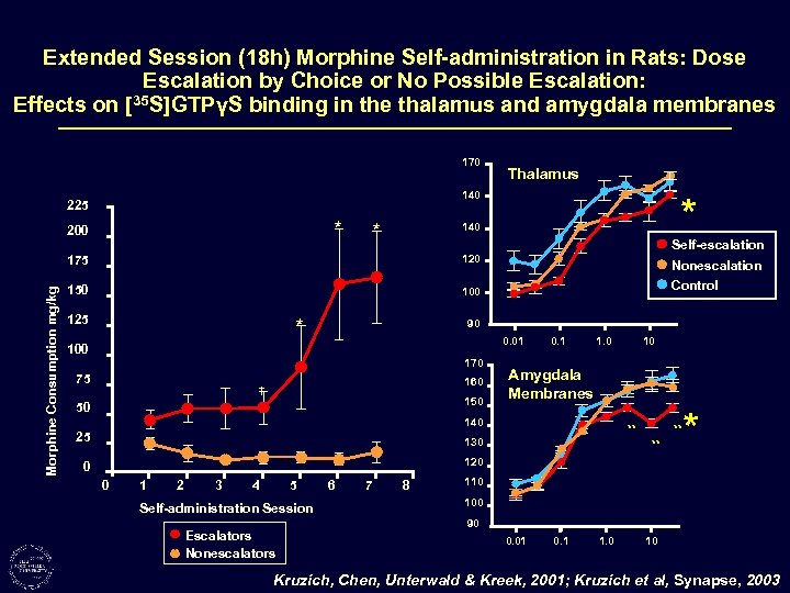 Extended Session (18 h) Morphine Self-administration in Rats: Dose Escalation by Choice or No