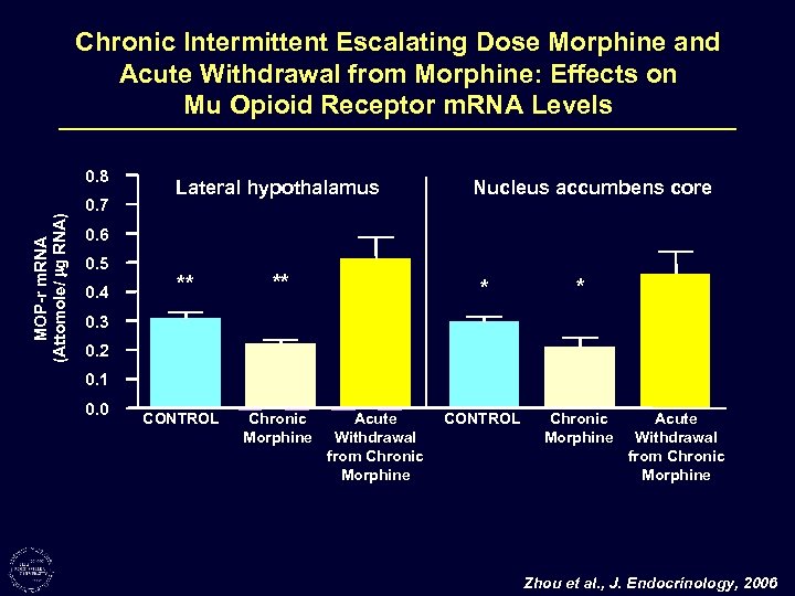 Chronic Intermittent Escalating Dose Morphine and Acute Withdrawal from Morphine: Effects on Mu Opioid