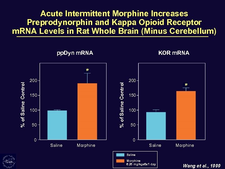 Acute Intermittent Morphine Increases Preprodynorphin and Kappa Opioid Receptor m. RNA Levels in Rat