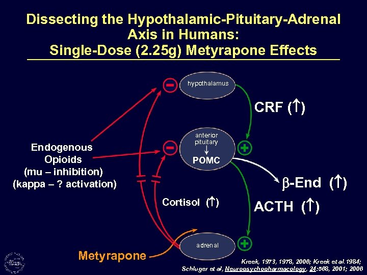 Dissecting the Hypothalamic-Pituitary-Adrenal Axis in Humans: Single-Dose (2. 25 g) Metyrapone Effects hypothalamus CRF